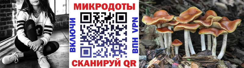 blacksprut ссылка Петров Вал Галлюциногенные грибы GOLDEN TEACHER